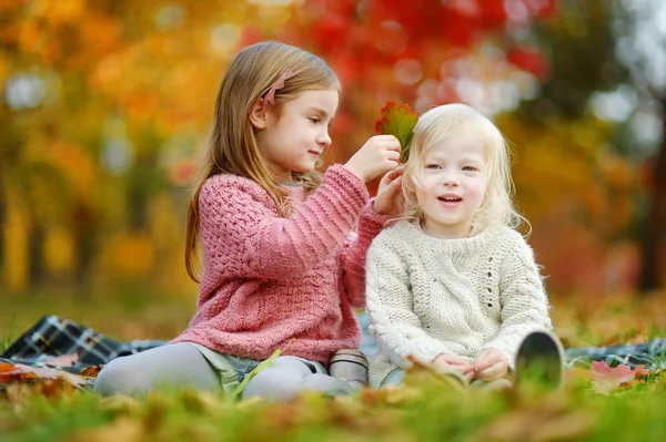 Hermanas en el parque de otoño —  Fotos de Stock