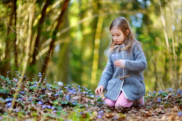 Meisje de eerste bloemen plukken — Stockfoto