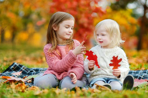 Hermanas en el parque de otoño —  Fotos de Stock