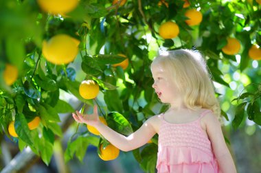 Kız malzeme çekme taze olgun limon