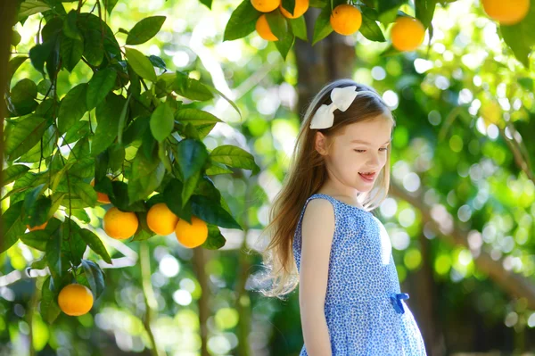 Gadis memetik jeruk matang segar — Stok Foto