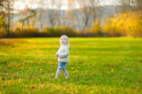 Schattig klein meisje op autunm dag — Stockfoto