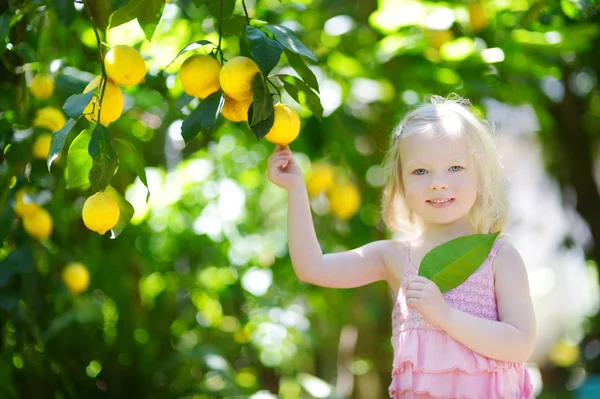 Κορίτσι picking φρέσκα ώριμα λεμόνια — Φωτογραφία Αρχείου