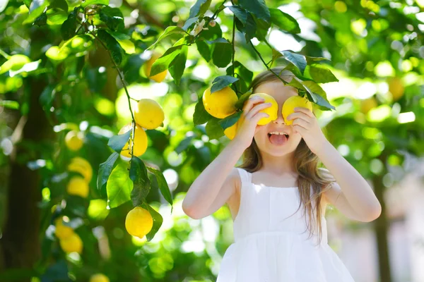 Girl picking fresh ripe oranges — Stock Photo, Image