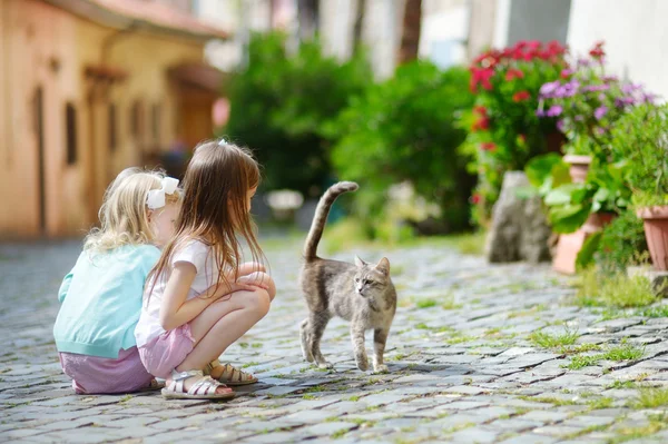 Little sisters and a cat — Stock Photo, Image