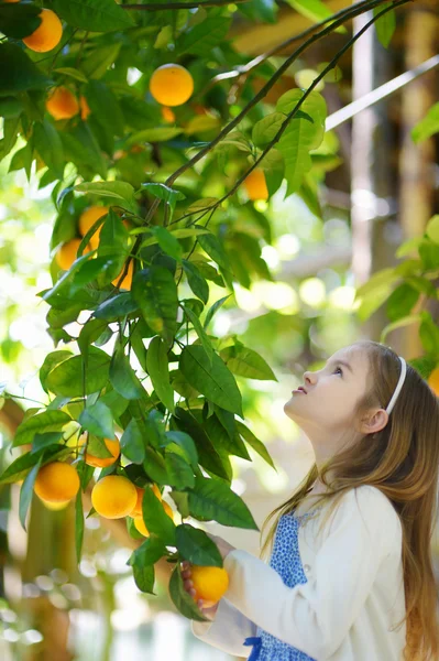 Fille cueillette fraîche oranges mûres — Photo