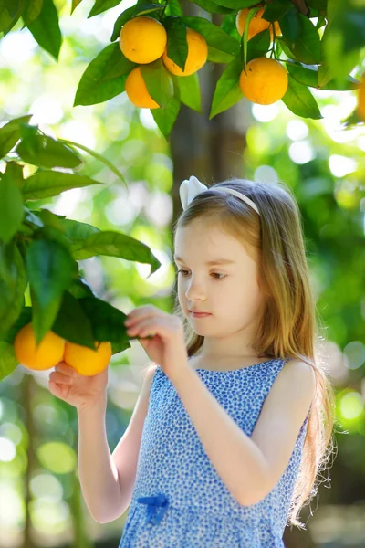 Meisje plukken verse rijpe sinaasappelen — Stockfoto