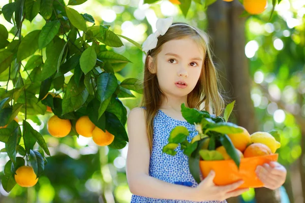 Girl picking fresh ripe oranges — Stock Photo, Image