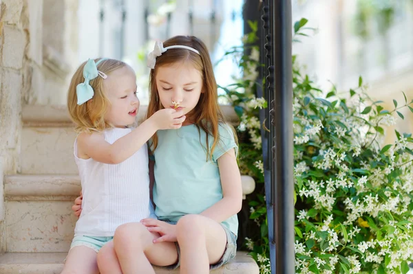 Entzückende kleine Schwestern lachen — Stockfoto