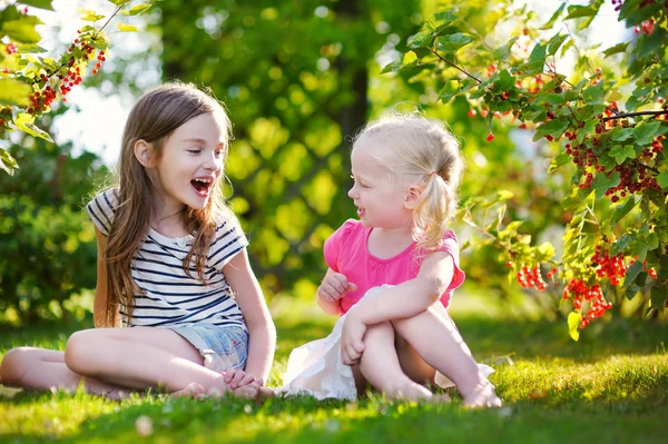 Lilla systrar plocka röda vinbär — Stockfoto