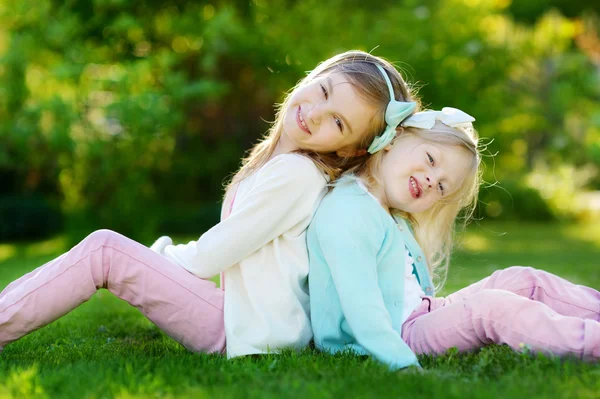 Sisters having fun on the grass Royalty Free Stock Images