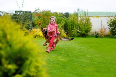 Büyük bir köpekle oynayan kız