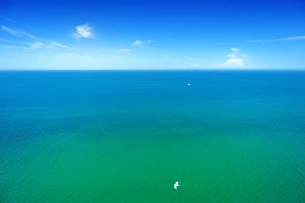 Modré moře nd létající racky — Stock fotografie