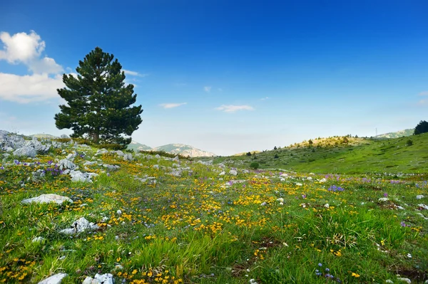 Weergave van Campo Imperatore plateau — Stockfoto