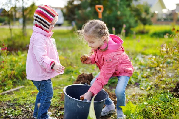 Meninas ajudando em um jardim — Fotografia de Stock