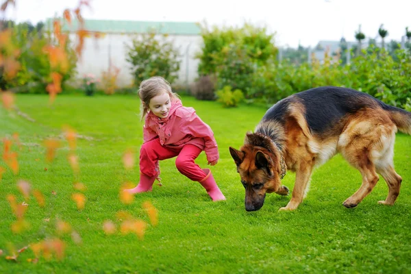 Dziewczyna bawi sie z big dog — Zdjęcie stockowe