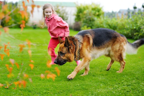 女孩和一只大狗一起玩 — 图库照片