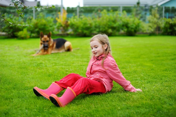 Девушка играет с большой собакой — стоковое фото