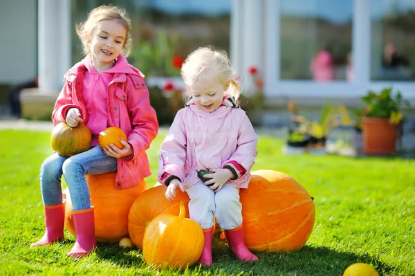 Hermanas y algunas calabazas enormes —  Fotos de Stock