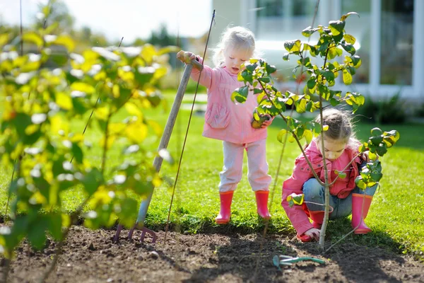 Meisjes helpen in een tuin — Stockfoto