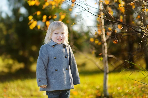 小女孩在秋季的一天 — 图库照片