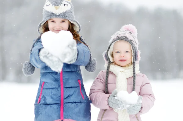 Hermanitas invierno parque — Foto de Stock