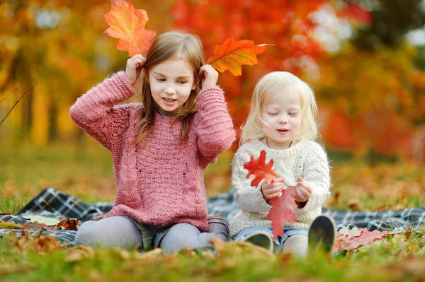 Schwestern im Herbstpark — Stockfoto