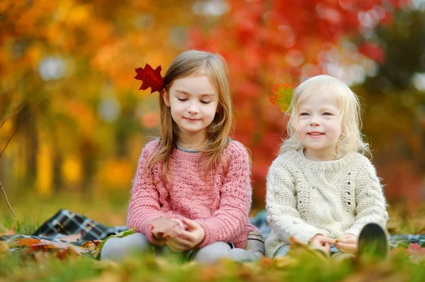 Sisters  in autumn park — Stock Photo, Image