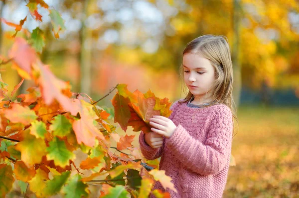 Niña en el día del autunm — Foto de Stock