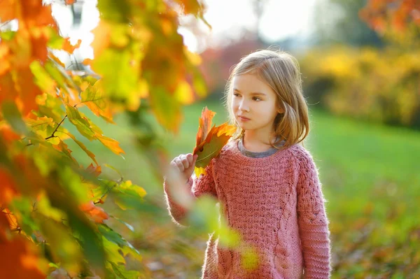 小女孩在秋天的一天 — 图库照片