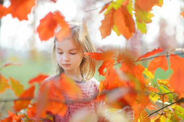 Bambina nel giorno d'autunno — Foto Stock