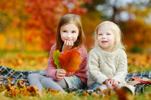 Sisters  in autumn park — Stock Photo, Image