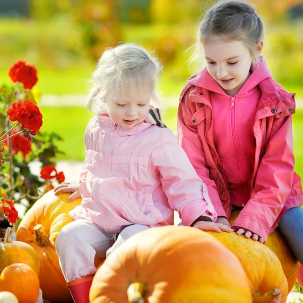 Sisters and some huge pumpkins Stock Image