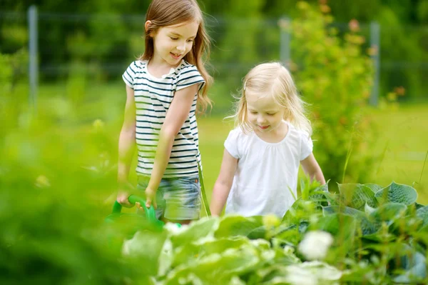 Girls watering plants and flowers — Stock Photo, Image