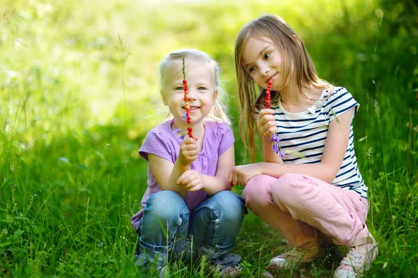 Vad eper gyűjtése nővérek — Stock Fotó