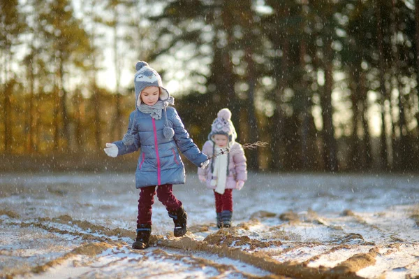 Lilla systrar Vinterparken — Stockfoto