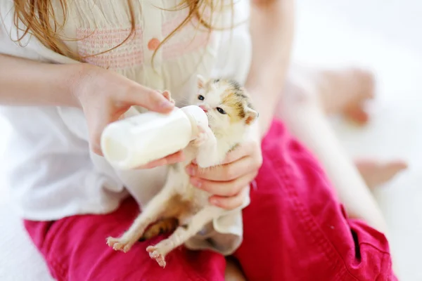 Dziewczyna karmienia małych kotek z mlekiem — Zdjęcie stockowe