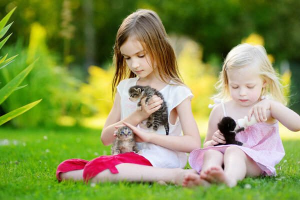 sisters feeding kittens with milk