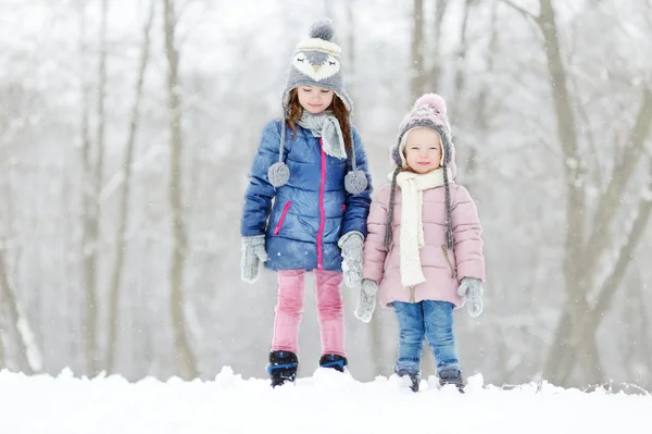 两个小姐妹在冬季公园 — 图库照片