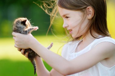 küçük yavru kedi ile oynarken kız