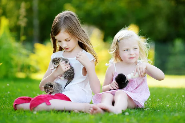 Schwestern füttern Kätzchen mit Milch — Stockfoto