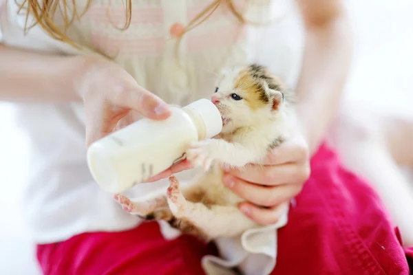 Ragazza che alimenta piccolo gattino con latte — Foto Stock