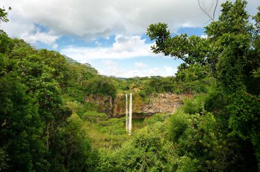Mauritius ormanda doğal Chamarel düşüyor