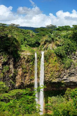 Mauritius ormanda doğal Chamarel düşüyor