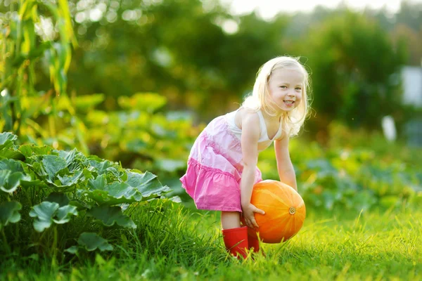 Klein meisje houdt van een pompoen — Stockfoto