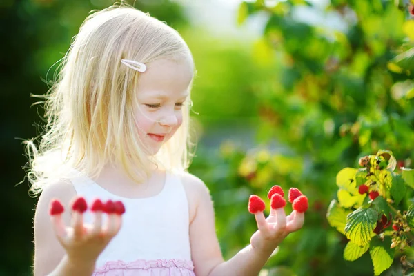 Menina comer framboesas nos dedos — Fotografia de Stock