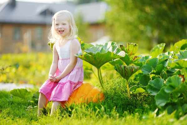 Meisje, zittend op een pompoen — Stockfoto