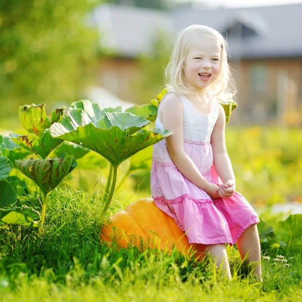 Little girl sitting on a pumpkin — Stock Photo, Image