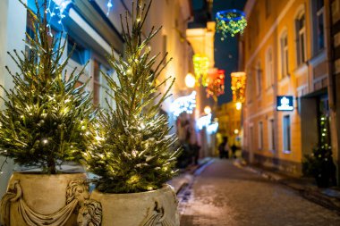 Parlayan ışıklar ve beyaz süslemelerle karla kaplanmış Noel ağaçları bir şehir meydanını gece süslüyor. Vilnius 'ta şenlikli kış atmosferi, soğuk havada sıcak tatil büyüsü..