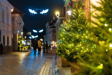 Parlayan ışıklar ve beyaz süslemelerle karla kaplanmış Noel ağaçları bir şehir meydanını gece süslüyor. Vilnius 'ta şenlikli kış atmosferi, soğuk havada sıcak tatil büyüsü..